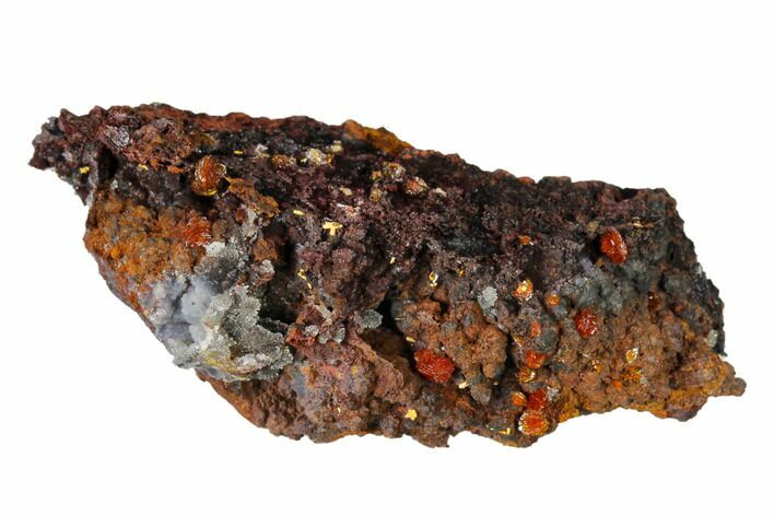 Red-Orange Descloizite Crystals on Matrix - Apex Mine, Mexico #155900